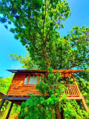 La Casa Safari Resort